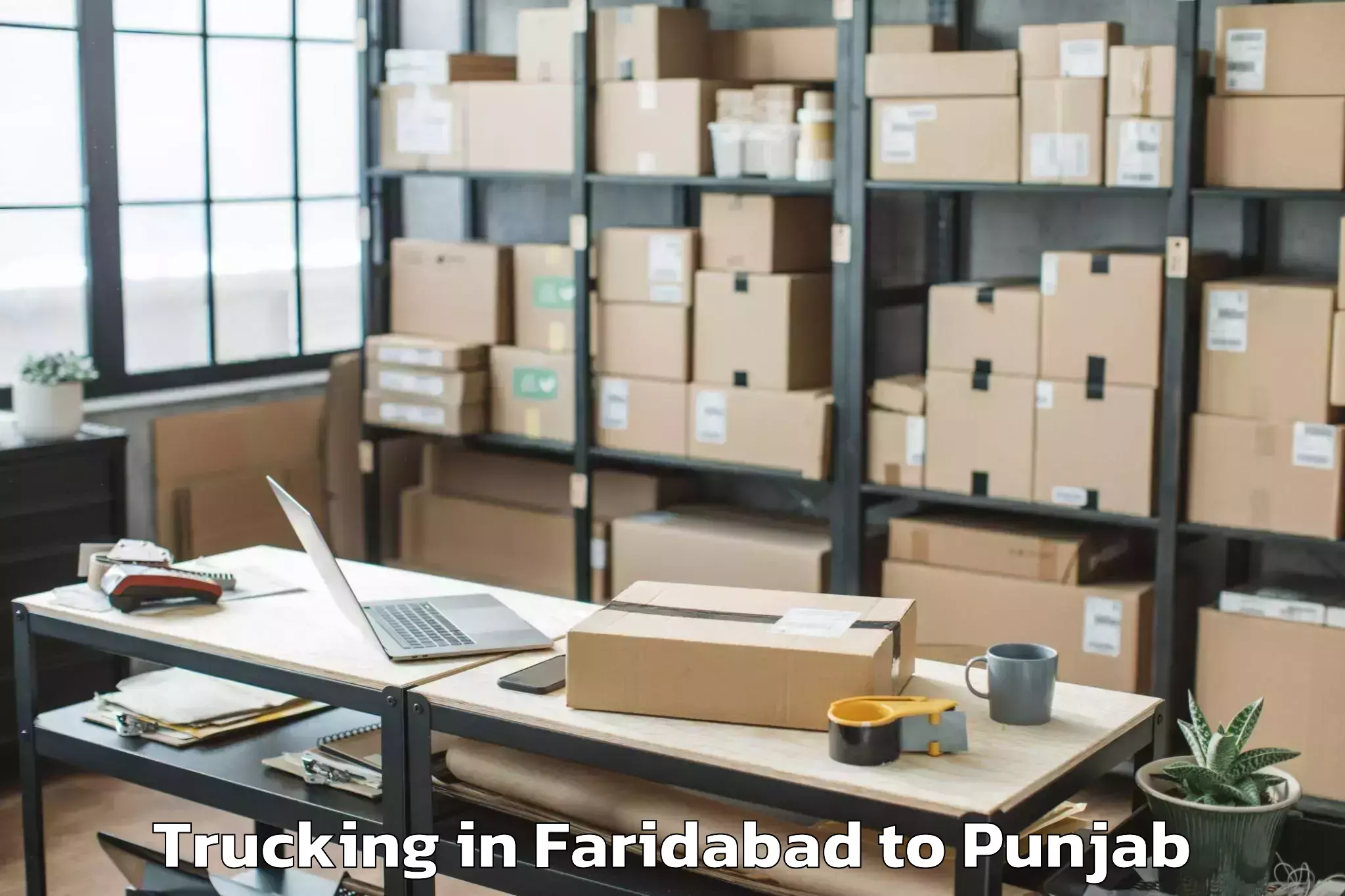 Book Faridabad to Rahon Trucking